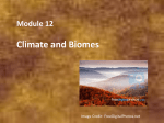 Module 12 Climate and Biomes