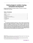 Embryological variation during nematode development