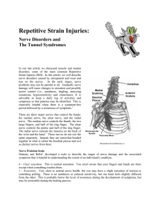 Repetitive Strain Injuries - Working