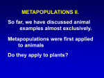 Metapopulations II
