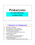 Lecture Notes: Prokaryotes