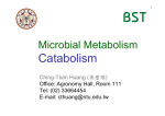 Catabolism