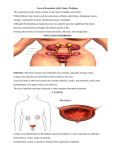 Care of the patient with Urinary Problems The components of the