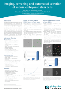 Imaging, Screening, Selection of Mouse Embryonic Stem Cells