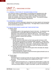 unit 7 - endocrine system - South Sevier High School