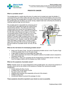 prostate cancer - Alberta Health Services