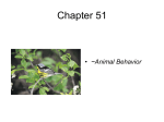 Animal Behavior - apbiologyclass