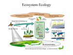 Biogeochemical cycles