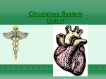 Circulatory System