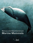 Marine Mammals - Biodiversity Research Institute
