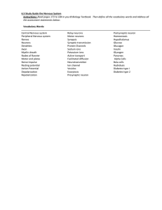 State that the nervous system consists of the central