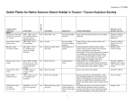 Useful Plants for Native Sonoran Desert Habitat in Tucson