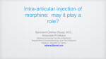 Intra-articular injection of morphine: may it play a role? Serbülent