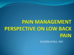 pain management perspective on low back pain