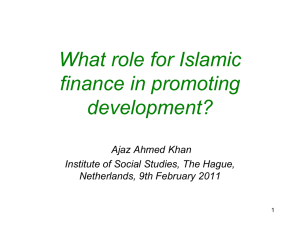 What role for Islamic finance in promoting development