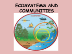 Ecosystems and Communitiesthird class