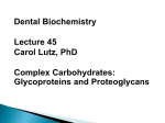 PROTEOGLYCANS AND GLYCOPROTEINS