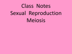 Meiosis - SchoolNotes