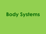Body Systems - Mahtomedi Middle School
