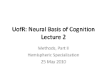 UofR: Neural Basis of Cognition Lecture 2
