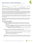 Pipecleaner Proteins Lab