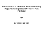 Neural Control of Ventricular Rate in Ambulatory Dogs with Pacing