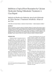 Inhibition of Apical Root Resorption by Calcium - SEER-UFMG