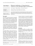 Molecular identification of Exiguobacterium acetylicum as the