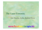 The Upper Extremity - Fisiokinesiterapia