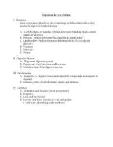 Digestion Review Outline