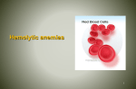 Hemolytic anemias
