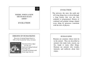 3. Evolution (Darvin) copy