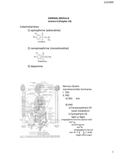 2) norepinephrine (noradrenaline)