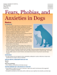 Fears, Phobias, and Anxieties in Dogs
