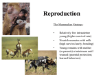 Reproduction