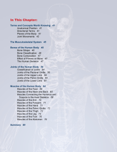 CHAPTER 3: Human Anatomy