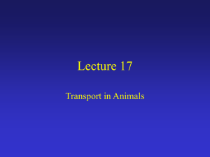 Lecture #17 - Suraj @ LUMS