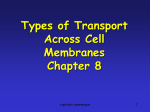 Cell_transport