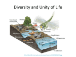 Diversity and Unity of Life - lifescienceworkshop