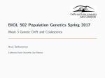 BIOL 502 Population Genetics Spring 2017