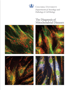 The Diagnosis of Mitochondrial Diseases