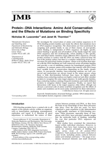 Protein–DNA Interactions: Amino Acid Conservation and the Effects