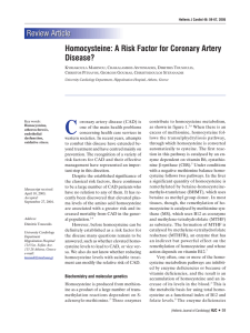Homocysteine: A Risk Factor for Coronary Artery Disease?