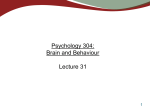 Exam - UBC Psychology`s Research Labs