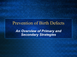 Prevention of Birth Defects