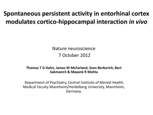 Spontaneous persistent activity in entorhinal cortex modulates