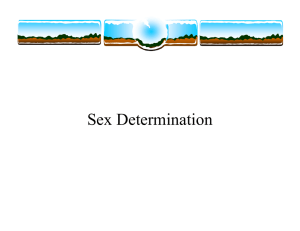 Sex Determination