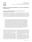 Influence of tree shape and evolutionary time‐scale on phylogenetic