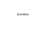 Excretion
