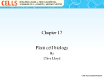 Plant cell biology